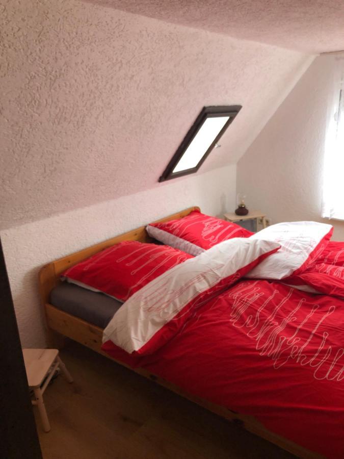 Ferienhaus Zentral & Gruen ライプツィヒ エクステリア 写真